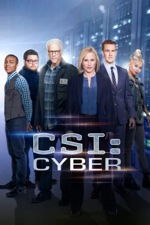 CSI: Киберпространство — постер