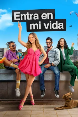 Entra En Mi Vida — постер