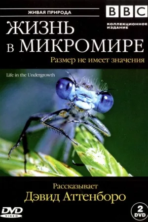 Жизнь в микромире — постер