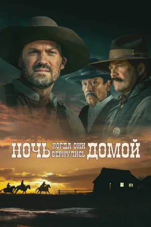 Ночь, когда они вернулись домой — постер