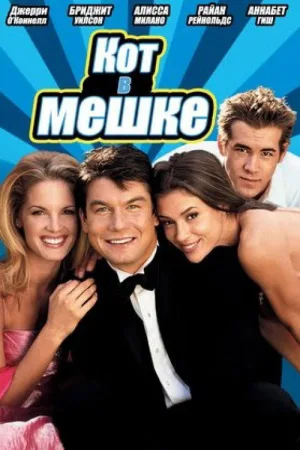 Кот в мешке — постер