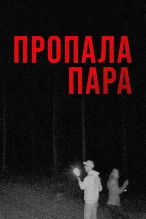 Пропала пара — постер