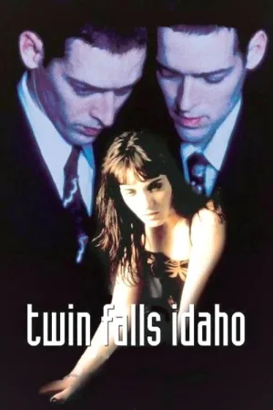 Twin Falls Idaho — постер
