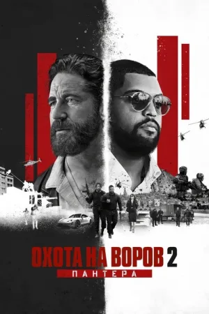 Охота на воров 2: Пантера — постер