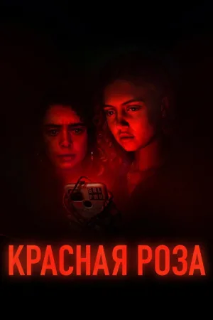 Красная роза — постер