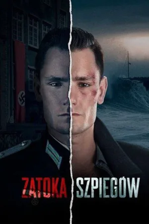 Шпионская бухта — постер