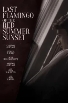 Last Flamingo of the Red Summer Sunset — постер