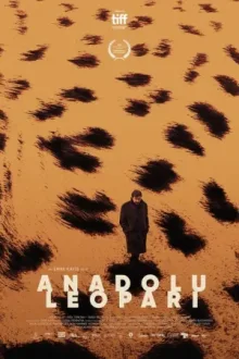 Анатолийский леопард — постер