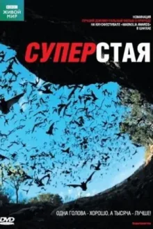 Суперстая — постер