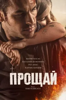 Прощай — постер