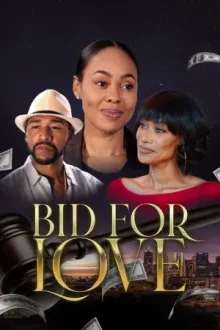 Bid For Love — постер