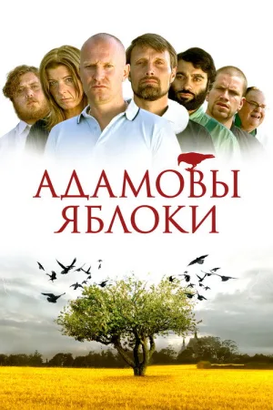 Адамовы яблоки — постер