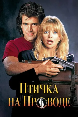 Птичка на проводе — постер