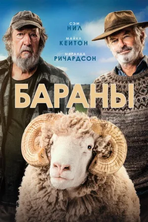 Бараны — постер