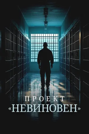 Проект «Невиновен» — постер
