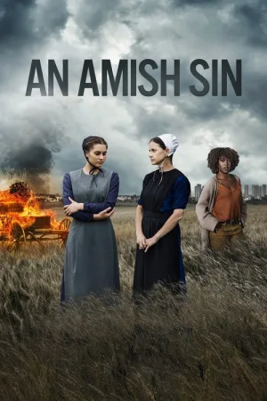 An Amish Sin — постер