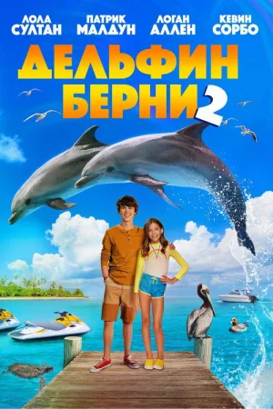 Дельфин Берни 2 — постер