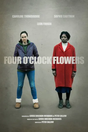 Four O'Clock Flowers — постер