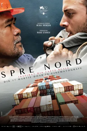 Spre nord — постер