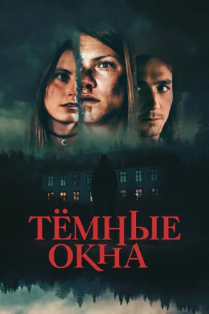 Тёмные окна — постер