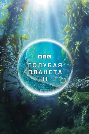 Голубая планета 2 — постер