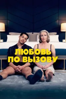 Любовь по вызову — постер