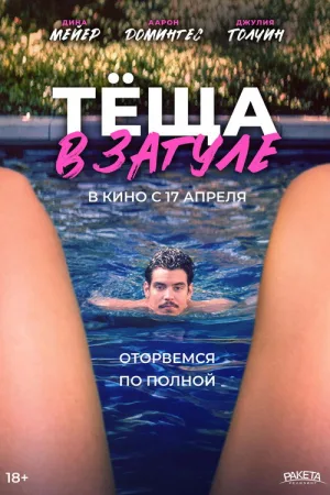 Тёща в загуле — постер