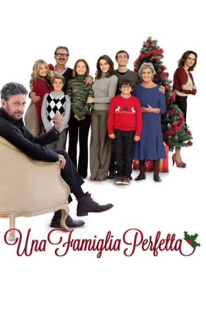 Идеальная семья — постер