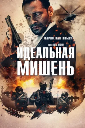 Идеальная мишень — постер