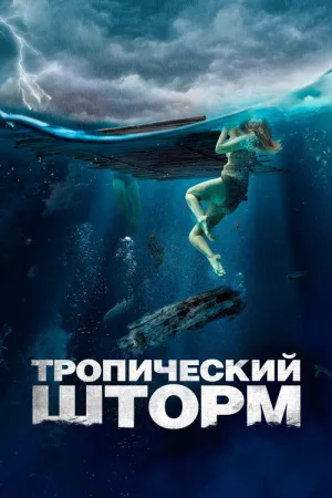 Тропический шторм — постер