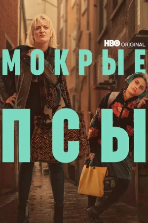 Мокрые псы — постер