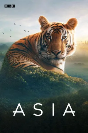 Asia — постер