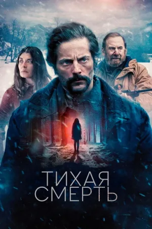 Тихая смерть — постер