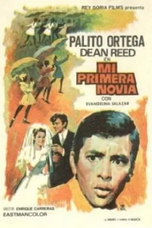 Mi primera novia — постер