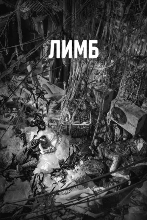 Лимб — постер
