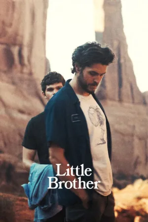 Little Brother — постер