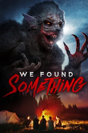 We Found Something — постер