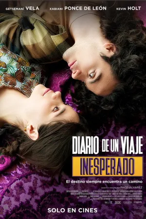 Diario de un viaje inesperado — постер