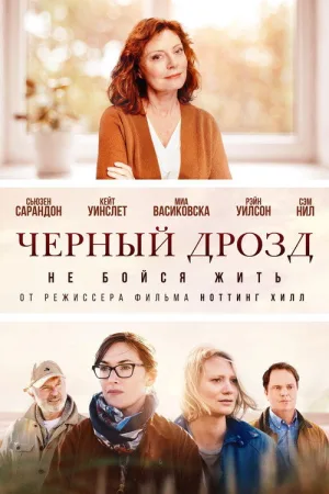 Чёрный дрозд — постер