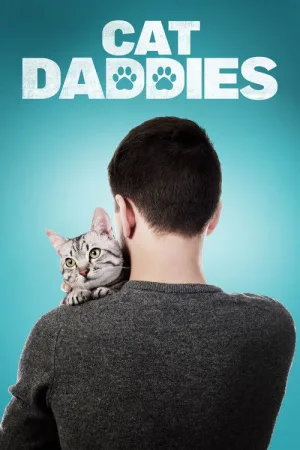 Котики — постер