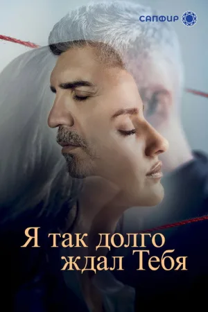Я так долго ждал тебя — постер