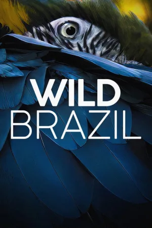 Wild Brazil — постер