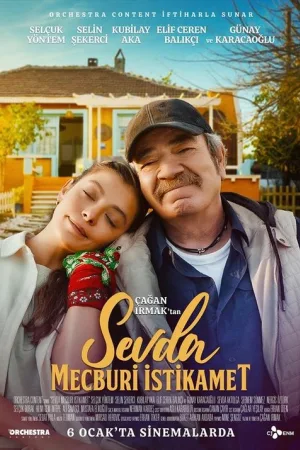 Sevda Mecburi İstikamet — постер