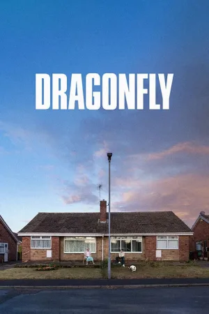 Dragonfly — постер