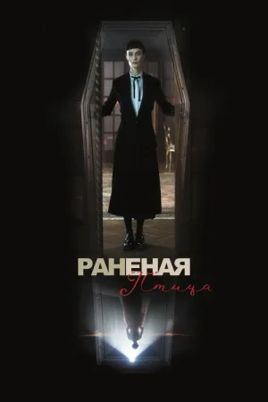 Сломанная птица — постер