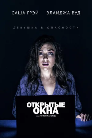 Открытые окна — постер