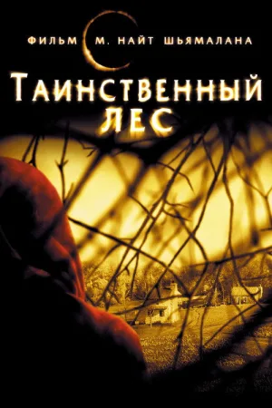 Таинственный лес — постер