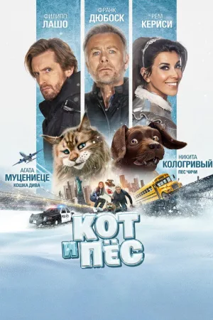 Кот и пёс — постер