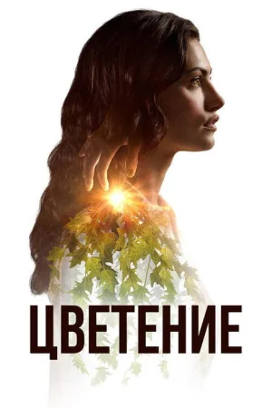 Цветение — постер