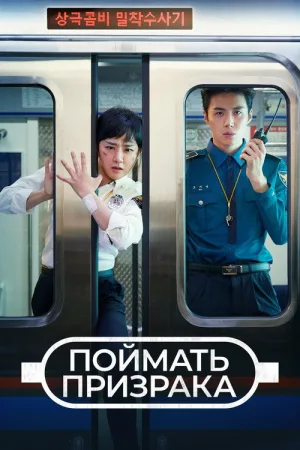 Поймать призрака — постер